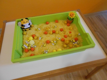 DSCN1117.JPG