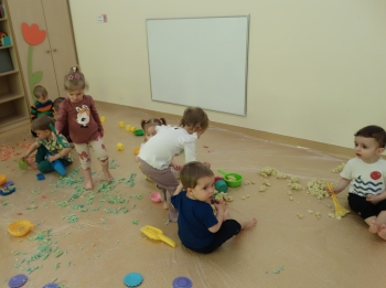 DSC00370.JPG