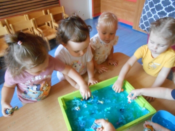 DSCN1470.JPG