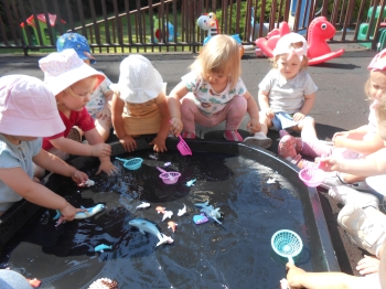 DSCN1537.JPG