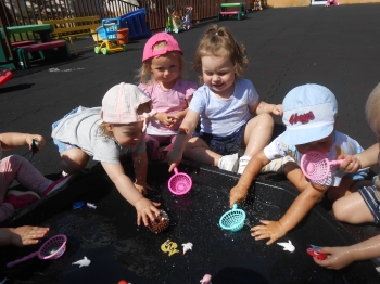 DSCN1556.JPG