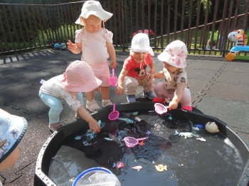 DSCN1558.JPG