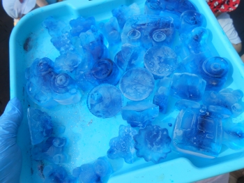 DSCN1739.JPG