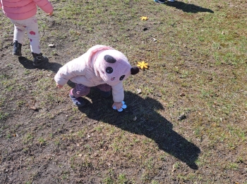 IMG-20250321-WA0080