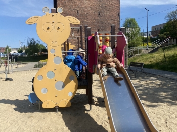 IMG_3520.jpeg