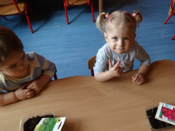 DSC02848.JPG