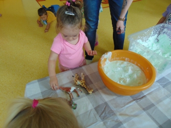 DSC06483.JPG