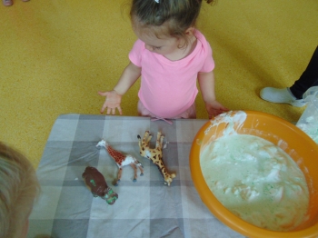 DSC06484.JPG