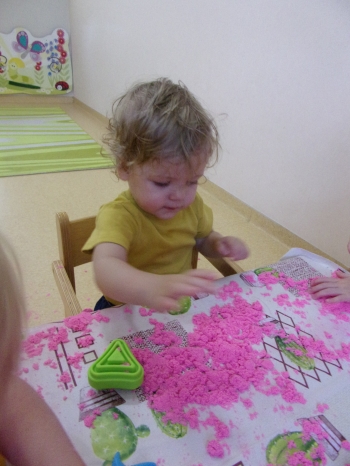 100_8587.JPG