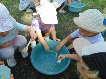 DSC07433.JPG