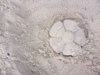 100_8686.JPG