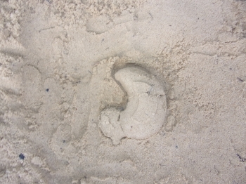 100_8687.JPG