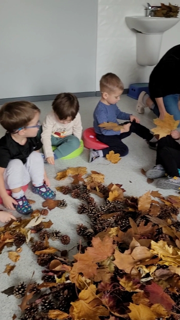 VideoCapture_20251216-182024