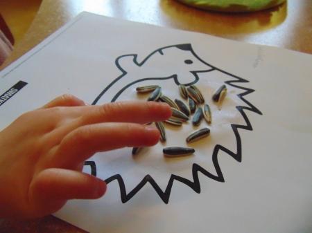 Zajęcia sensoryczne u Średniaków