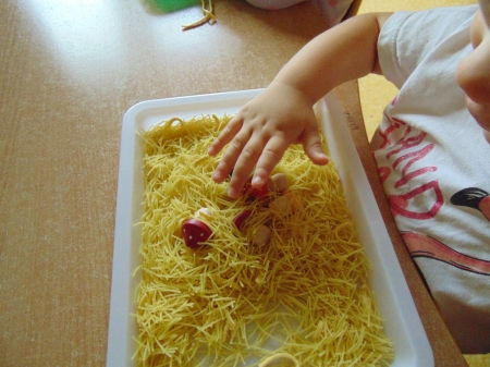 Grzybobranie u Średniaków