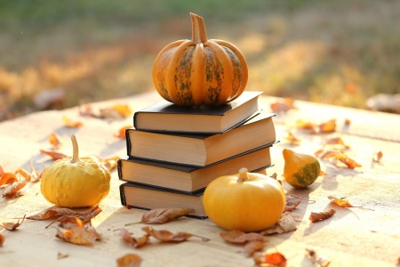 Grupa IV Dzień Dyni