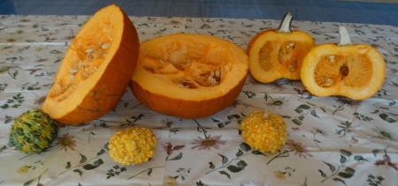 Grupa I, II Zabawy z dynią