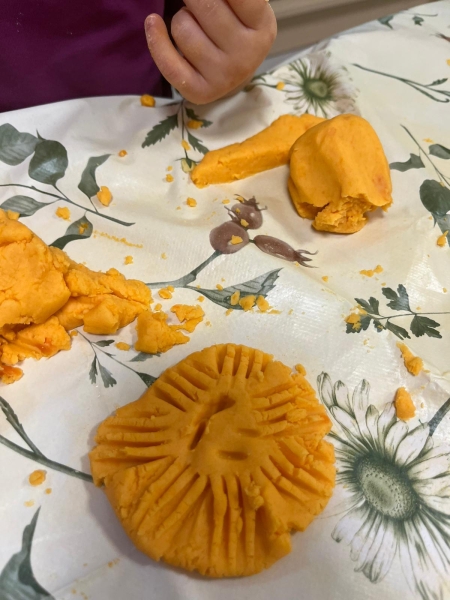 Grupa IV Dzień Marchewki