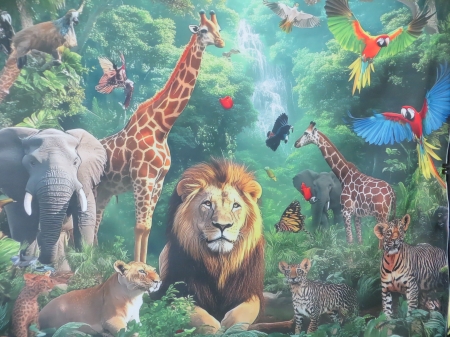 Dzień otwarty gr.IV