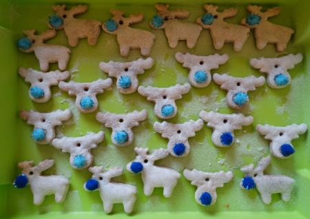 Witaj Święty Mikołaju