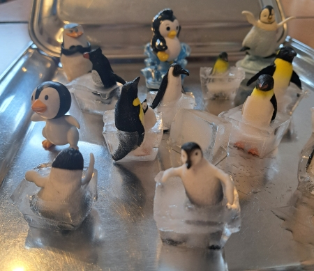 Wyprawa na Biegun Północny....