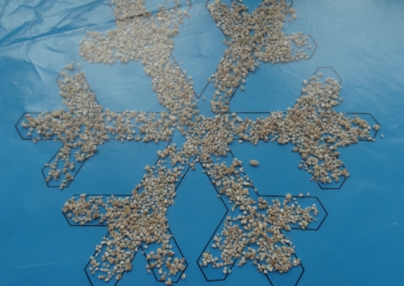 Grupa I Dzień otwarty