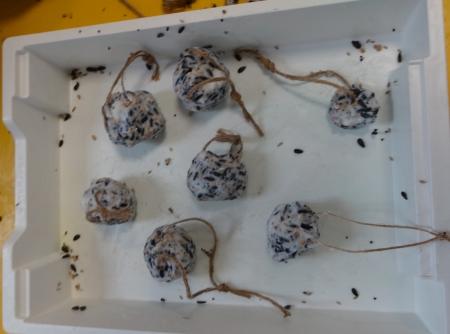 Grupa IV Nasz karmnik